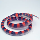 70CM long pattern snake flat head