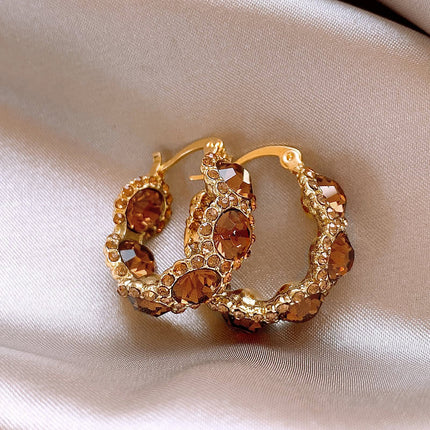 Brown Crystal Hoop Earrings, Feminine Accessible Luxury Earrings, 2025 New Internet Celebrity Hot Style High-End Earrings for Women