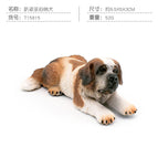 PL127-907 prone Saint Bernard 52g