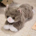 40cm(0.15 / Brown cat