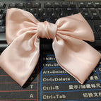 Light pink spring clip