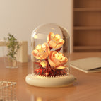 M5006-paeony [with transparent cover + light base]