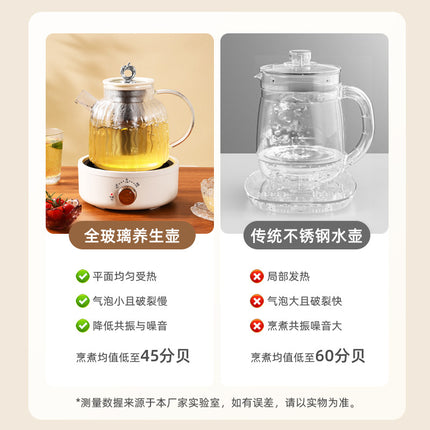 Health Pot Multifunctional Home Office Thickened Glass New Tea Maker Kettle Flower Tea Pot Gift 110V