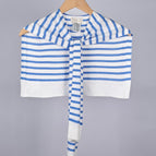 Sky blue stripes on white background