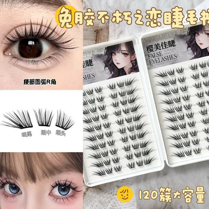 Cross-Border False Eyelashes Large Capacity Glue-Free Full Range of Lazy Eyelashes Collection Wholesale Customized European and American Glue-Free False Eyelashes