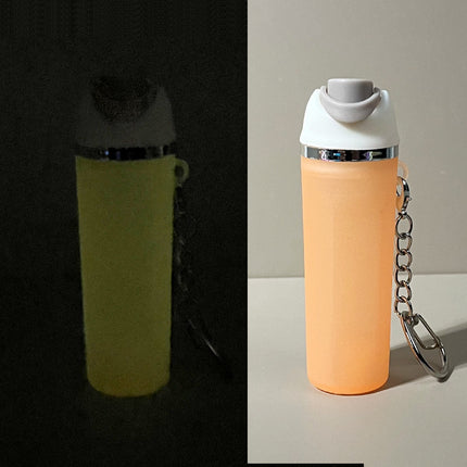 Cross-border New Product Stanley Stanley Keychain Pendant Ice Cup Keychain Can Hold Lipstick Backpack Hanging