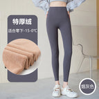 Gray extra thick austrian velvet / Xl 60-70kg