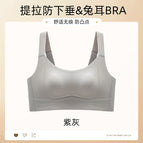 Purple gray / M（34-75）