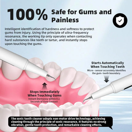 Tartar Remove, Rechargeable Teeth Cleaner, for Teeth Cleaning and Tartar Removal, Equipped with 4 Cleaning Heads & LED Light, Ea