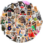 Cartoon 66PCS