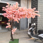 plum / Height1.5Mxwidth1.3M