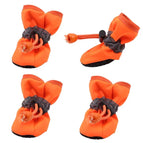Orange / L