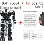 19 with DS3218 / China Mainland