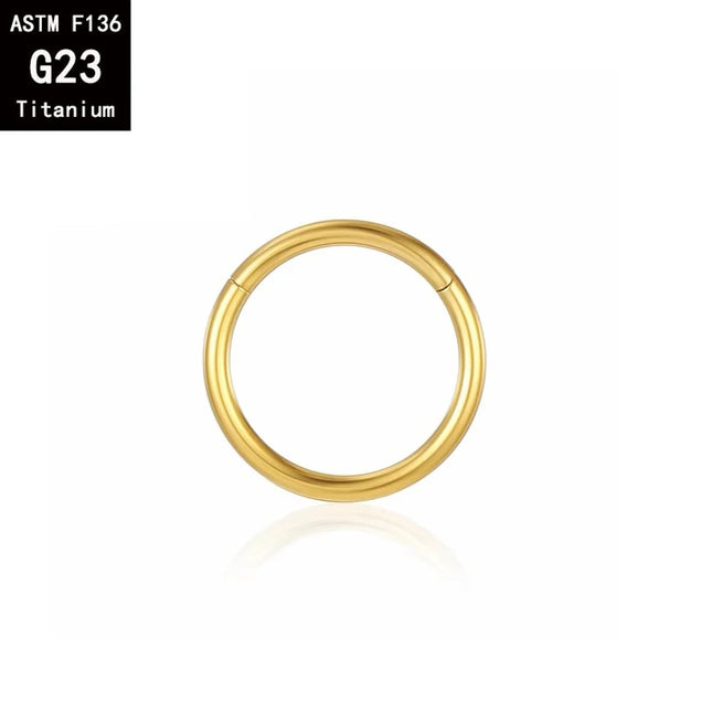 1/10PCS ASTM F136 Titanium Hinged Hoop Nose Rings 20G 18G 16G Septum Ring Wholesale Body Piercing Jewelry Cartilage Rook Earring