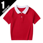 1pcs-htpolo-ho / 100