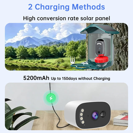 Jooan 4K Solar Bird Feed Camera 2.4G WiFi Outdoor IP Camera Feeder Waterproof HD Bird Video Night Vision Identify Birds Species