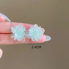 E2496