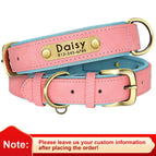 Pink / XS weight 3-4.5kg