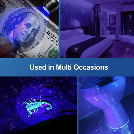 395nm UV Pen FLaslight,Blacklight Flashlight w/ Clip Portable Detector for Hotel/Pet Urine/Bed Bugs/Camping(AAA Battery Powered)