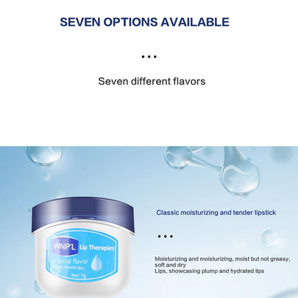 New 4/6/8pcs Moisturizing Lip Balm Sets Lipstick Makeup Natural Plant Base Moisturizer Lip Balm Anti-Cracking Lips Skin Care