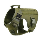 Green Harness / XL