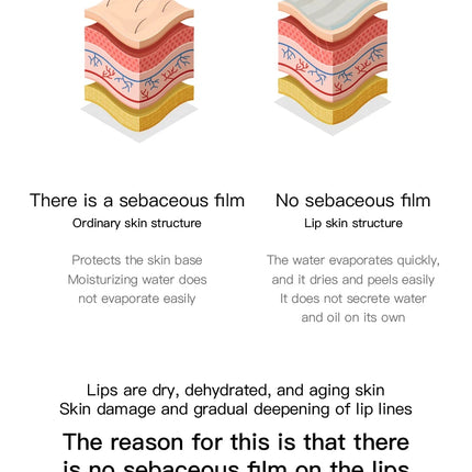 Herorange Lip Flower Elegant Lip Balm Long-Lasting Moisturizing Refreshing Non-Sticky Prevents Dryness and Reduces Lip Lines Primer Christmas Gift