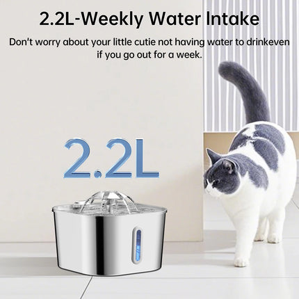 2.2L/74OZ Automatic Cat Fountain Stainless Steel Pet Water Dispenser Silent Water Pump Circulation Filtering Visual Window