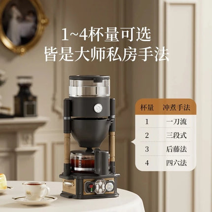 Home Electric Drip Coffee Makers Automatic Coffee Machine Espresso Machine Tea Dripper with Glass Pot