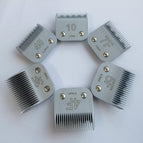 6PCS