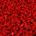 Red / for 4-6kg