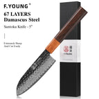 Santoku Knife 1