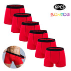 B2-6PCS-red / L