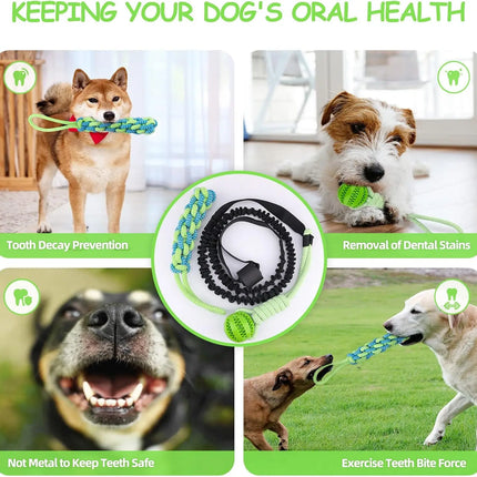 Spring Pole Dog Rope Toys, Dog Interactive Tether Tug of War Toy, Indoor/Outdoor Bungee Hanging Dogs Toy