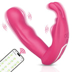 CD75-APP-RD