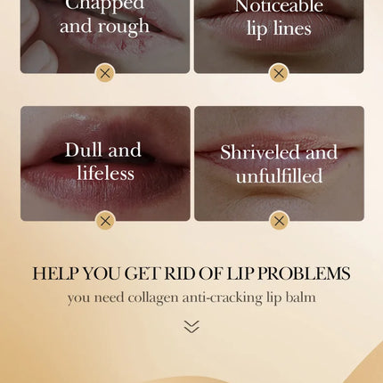 24pcs SADOER Collagen Lip Balm Moisturizing Anti Wrinkles Anti-aging Nourishing Hydrating Lipstick Lips Skin Care Products