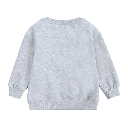 2024 New Autumn Girls Hoodies 9M-6T Kids Solid Colored Plush Pullover Children Boys Tops 9 Colors