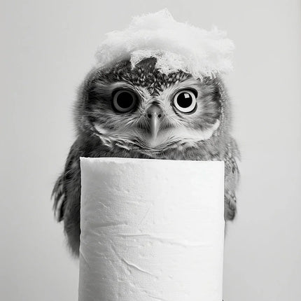 Black and White Cute Animal and Toilet Paper Poster Lion Owl Cat Dog Canvas Painting Wall Art Bathroom Living Room Home Decor