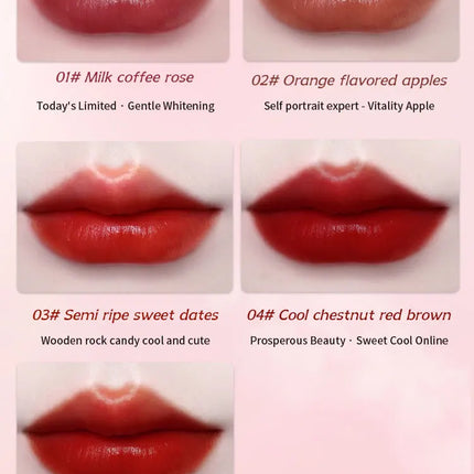 Moisturizing Highly Pigmented Liquid Lipstick Waterproof Long Wearing Non Stick Cup Lip Glaze