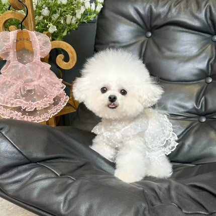 Lace Mesh Pet Dress Summer Princess Style Dog Clothes Maltese Breathable Suspender Sweet Little Dog Skirt