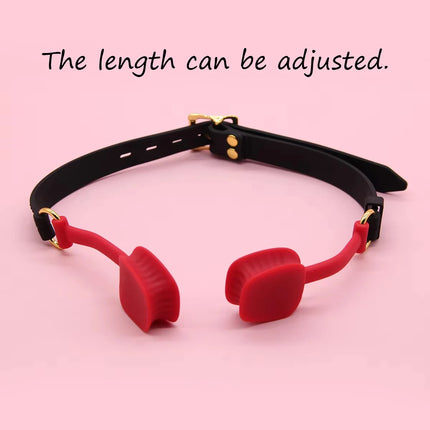 Silicone SM Mouth Gag with Restraint Strap, Female Bondage & BDSM Accessory Sex Toys