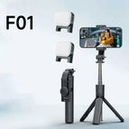 F01 and light