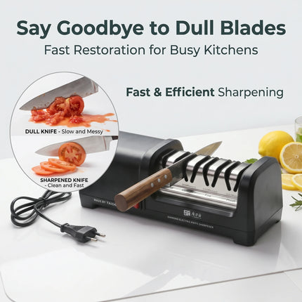 TG2102 4-Stage Electric Knife Sharpener – 20° Edge for Kitchen Knives, Sharpening & Polishing