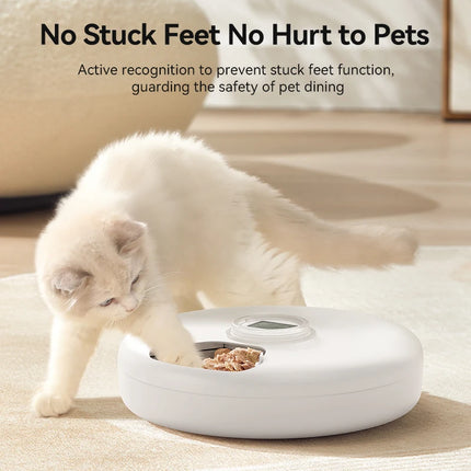 ROJECO Automatic Pet Feeder Wet Dry Food Dispenser 6 Meals Wireless Smart Cat Feeder Kibble Dispenser For Cat Dog Pets Supply