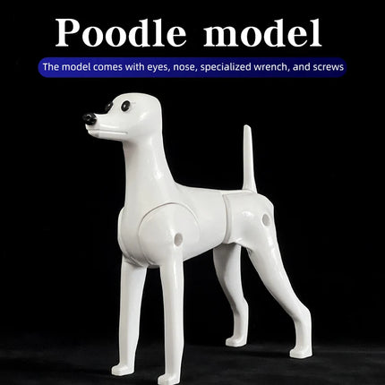 Poodle dog pet professional beauty simulation wig model practice special skeleton environmentally friendly PE material