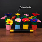 Coloured colour