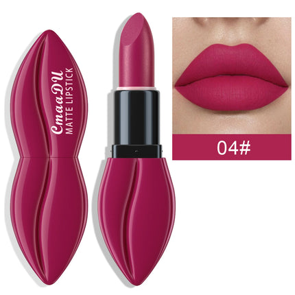 10 Colors Lip Shape Matte Lipstick Velvet Lip Gloss Long Lasting Waterproof Lip Makeup Set For Women Girls Fashion Cosmetics