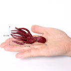 squid-3