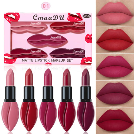 5pcs Matte Lipstick Makeup Set Super Smooth Texture Long Lasting Lipstick Kit High Pigment Sexy Lip Stick with Perfect Gift Box