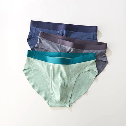 4pcs 2026 New Underwear Man Briefs Bamboo Fiber Quick Dry Summer Men Panties Seamless Comfortable Sexy Male Underwear Panties