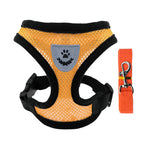 Orange / S  (1.5-2.5kg)